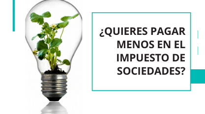 impuesto