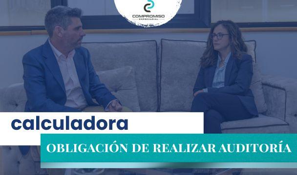 auditoria empresas obligación